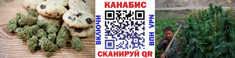 магазин    Шуя  Canna-Cookies марихуана 