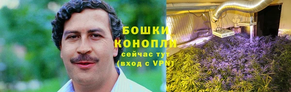стафф Белокуриха