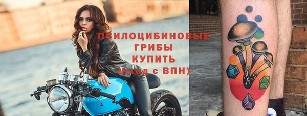 ешки Беломорск